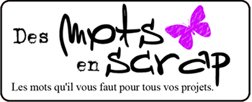 Logo_Mots_en_scrap.jpg
