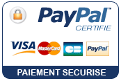 Logo paypal