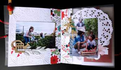 Kit Mini-Album Jardin Secret